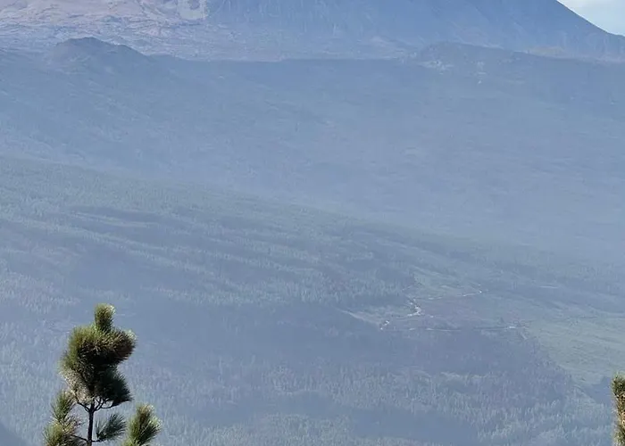 Marina Tenerife 公寓