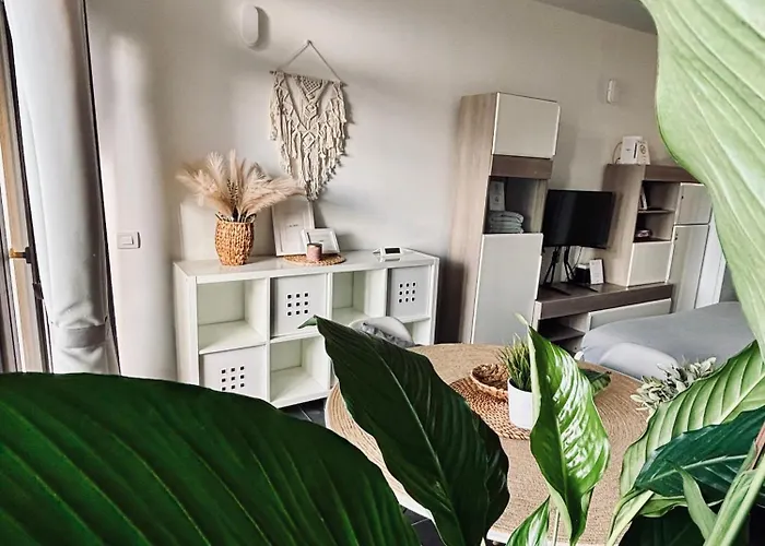 Marina Tenerife 公寓 拉克鲁斯